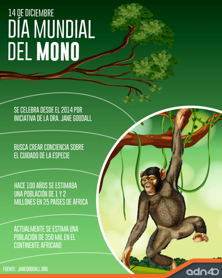 14 de diciembre que se celebra