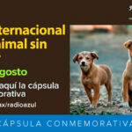 20 de agosto que se celebra