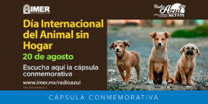 20 de agosto que se celebra