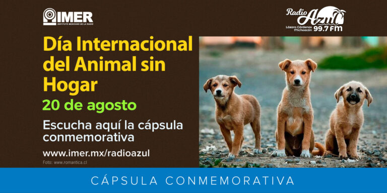 20 de agosto que se celebra