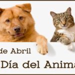 29 de abril que se celebra