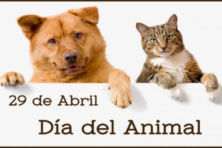 29 de abril que se celebra