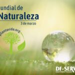 3 de marzo que se celebra
