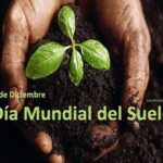 5 de diciembre que se celebra