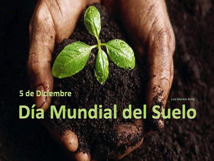 5 de diciembre que se celebra