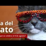 8 de agosto que se celebra