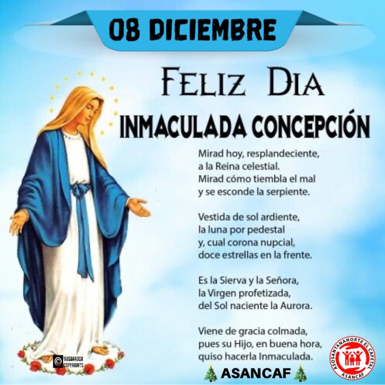 8 de diciembre que se celebra