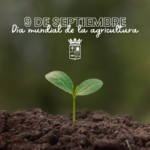 9 de septiembre que se celebra